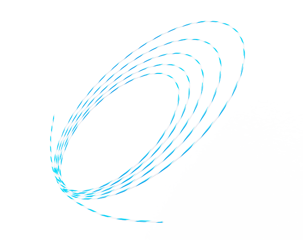 NaviGlide™-Zebra-Guidewire2.png