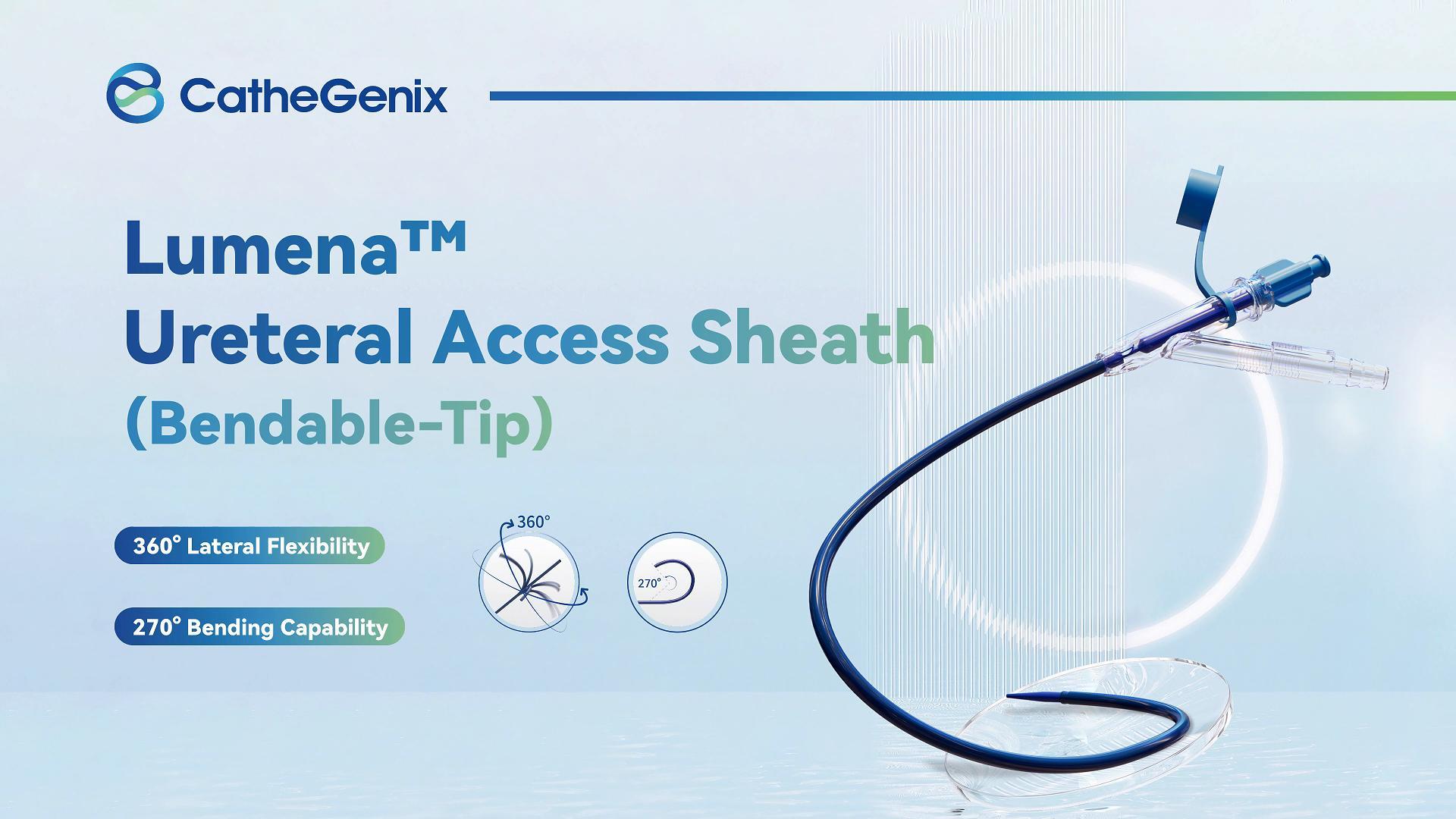 Ureteral Access Sheath (Bendable-Tip).jpg