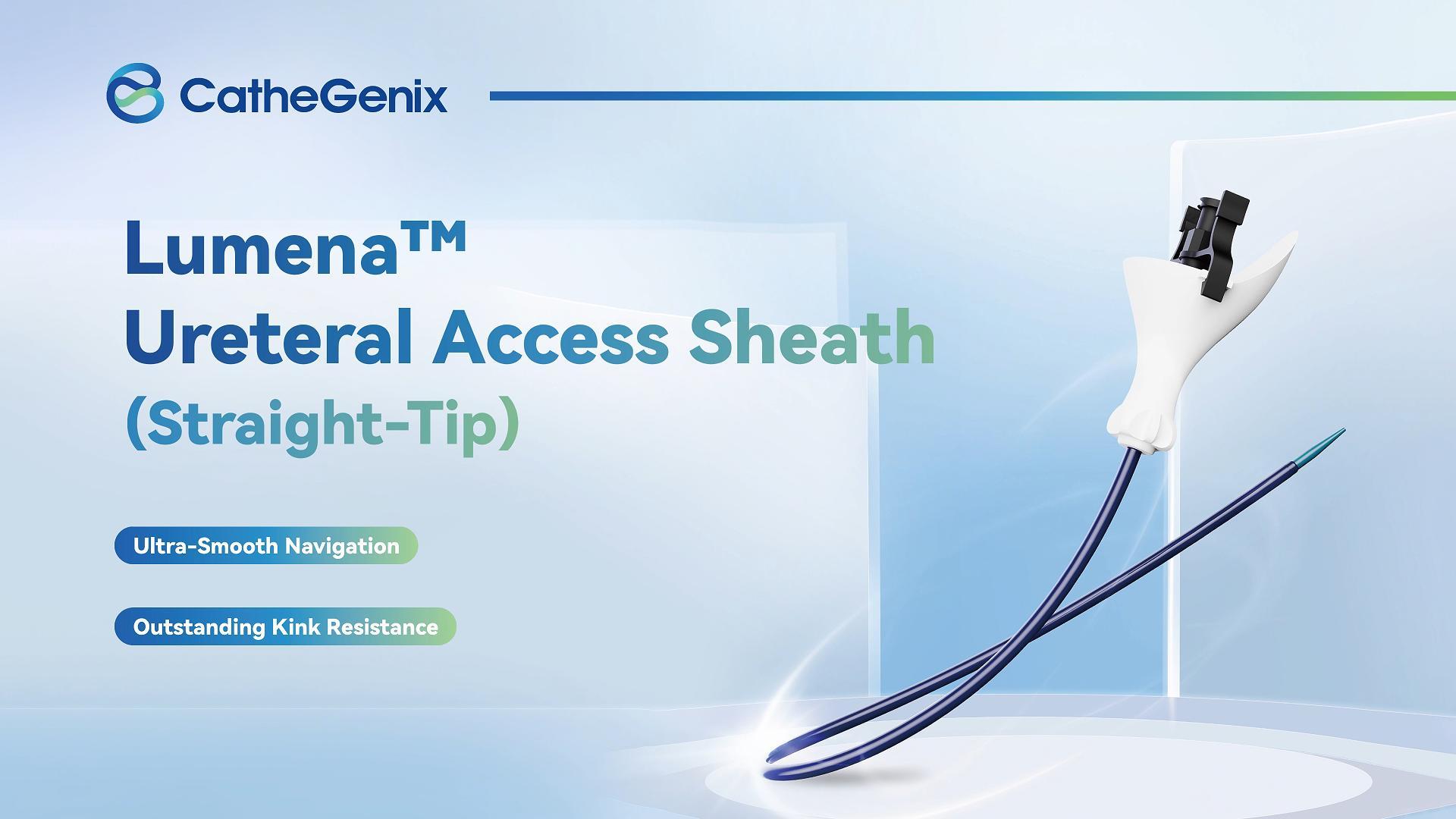 Ureteral Access Sheath (Straight-Tip).jpg