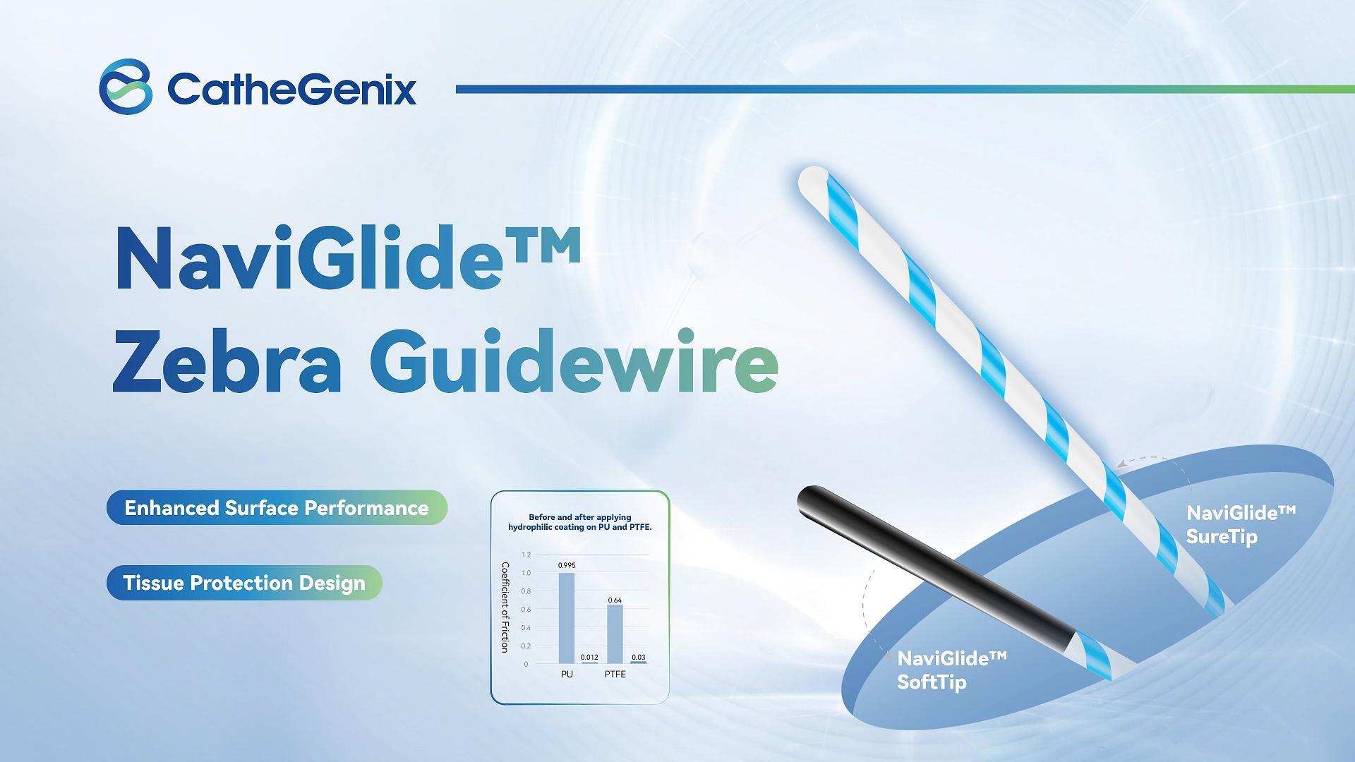 Zebra Guidewire.jpg