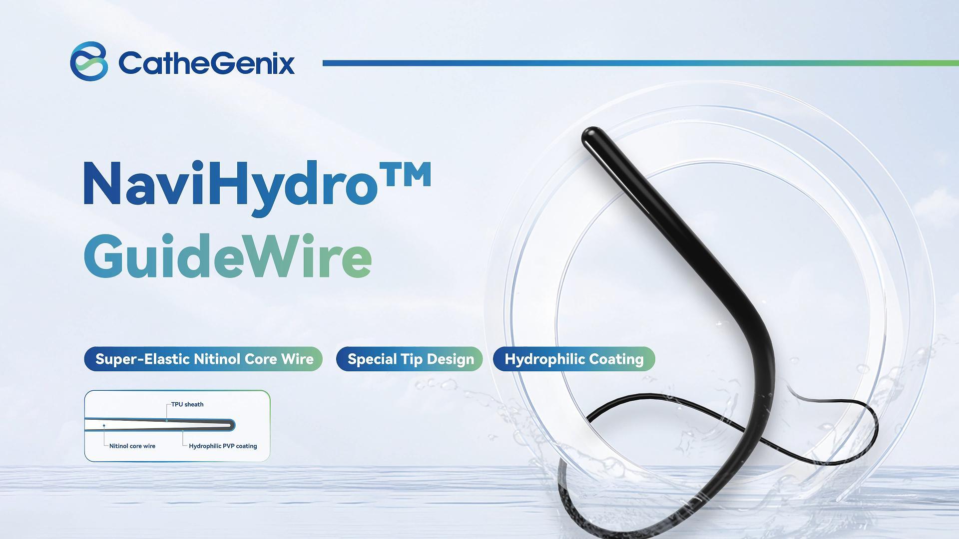 GuideWire.jpg
